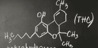 What is Delta-8 THC: Understanding its Benefits and Risks Delta-8 THC